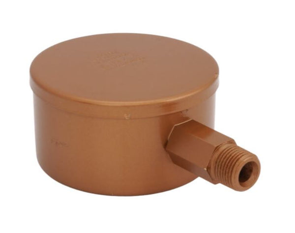 GT-GORTON #2-Gorton Air Eliminator 1/2" Straight Connection