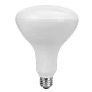 ELÉCTRICO