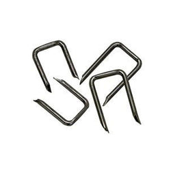 PK100 BX STAPLES (1/2" x 1")(BX100P)