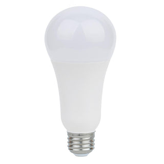 LED BULBS